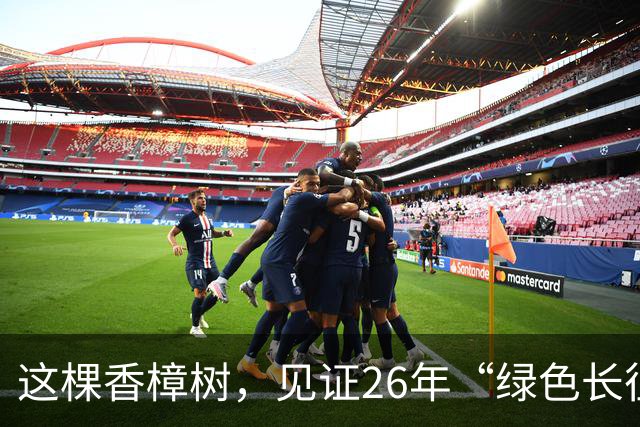 这棵香樟树，见证26年“绿色长征”